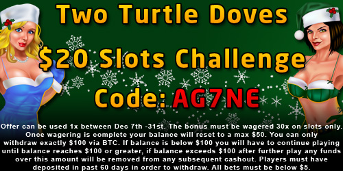 Day 2 Offer.jpg