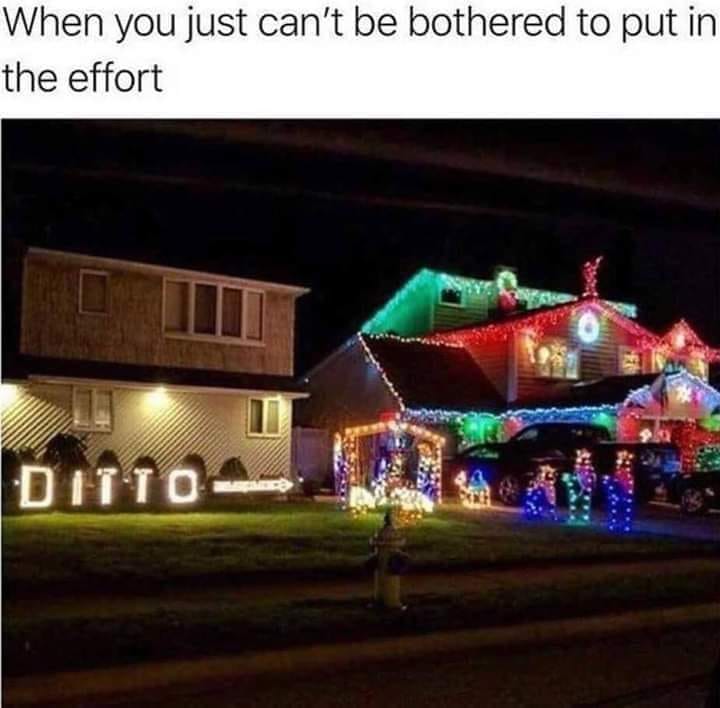 ditto.jpg
