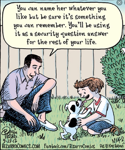 dog.png