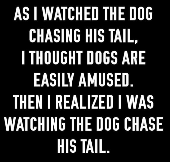 dog tail.jpg