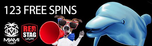 dogdolphin123.jpg