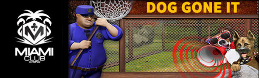 doggoneit.jpg