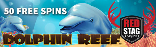 dolphin.jpg