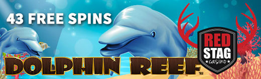 dolphinreef43.jpg