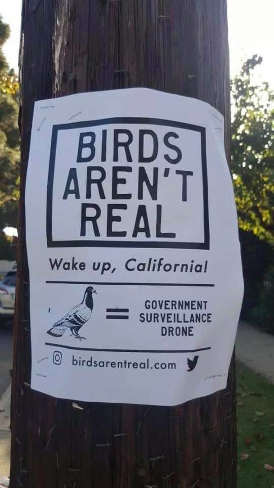 drones.jpg
