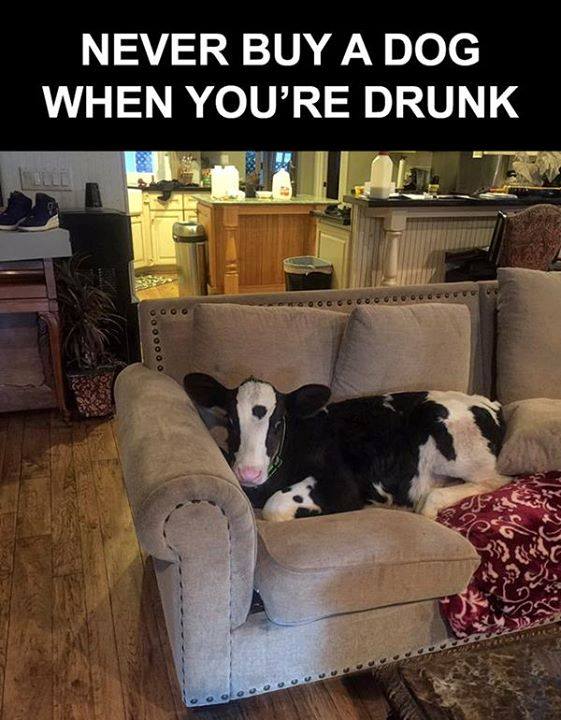 drunk1.jpg