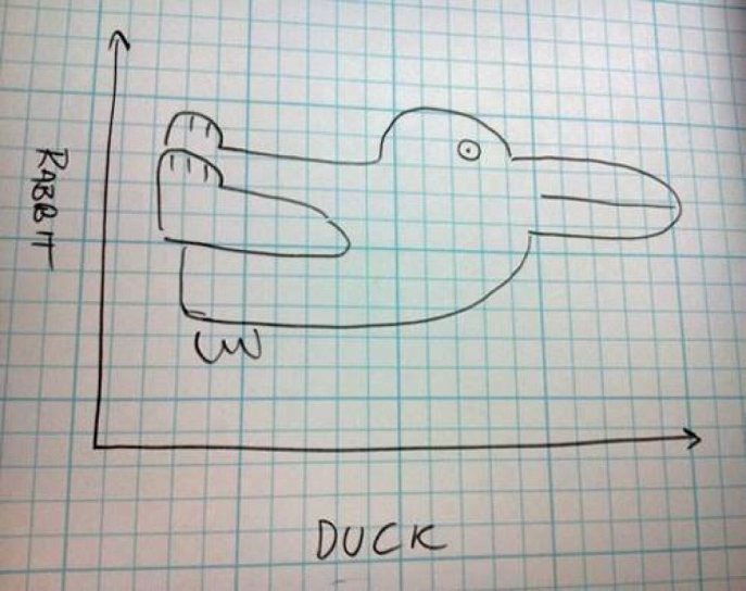 duck.png
