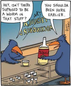 Early-Bird.jpg