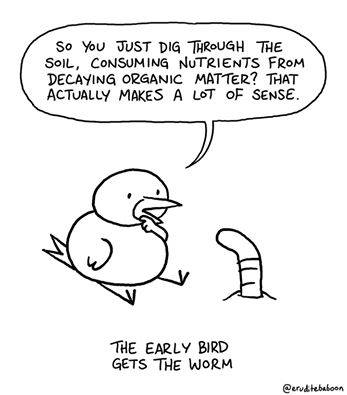 EArly bird.jpg
