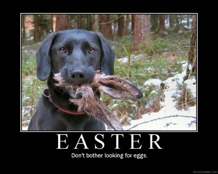 easter1.jpg