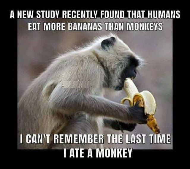 Eat-More-Bananas.jpg