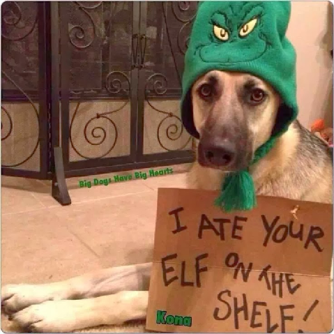elf.png