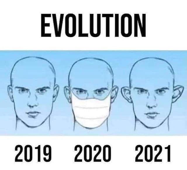 evolution.jpg