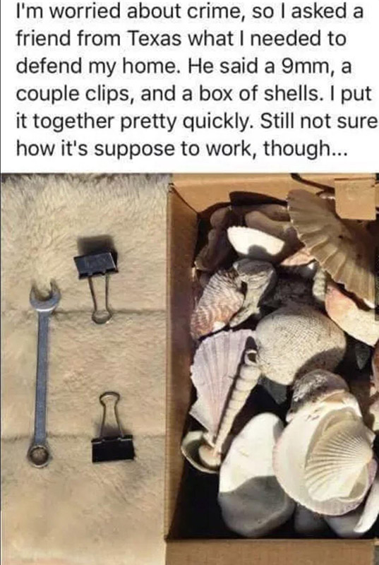 fa2mcz7hj8f11.jpg