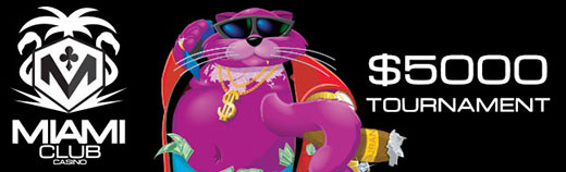 fatcatdfd.jpg