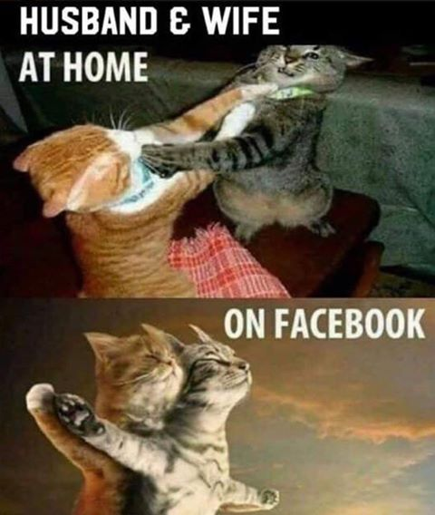 fb.png