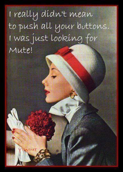 FB_IMG_1450981614195.jpg
