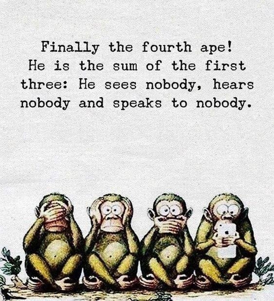 Finally-the-fourth-ape.jpg