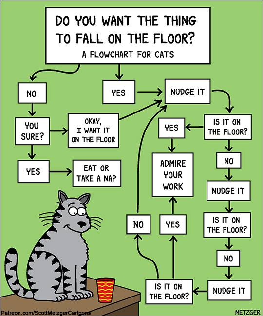 Flowchart-For-Cats.jpg