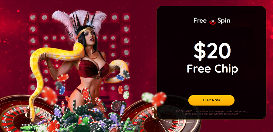 Free Spin Casino no deposit forum.jpg