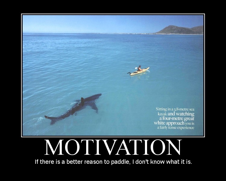 funny motivational quotes.jpg