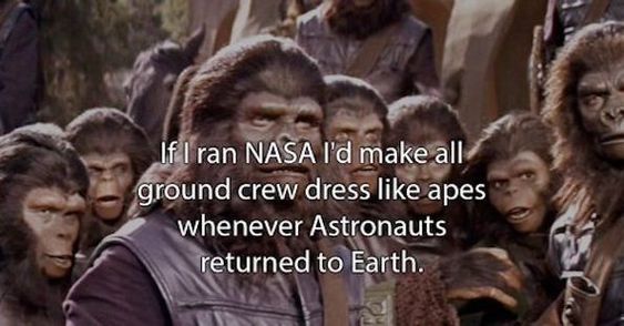 funny-nasa-monkeyds.jpg
