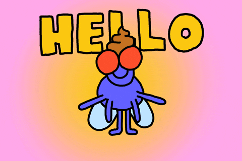 giphy (1).gif