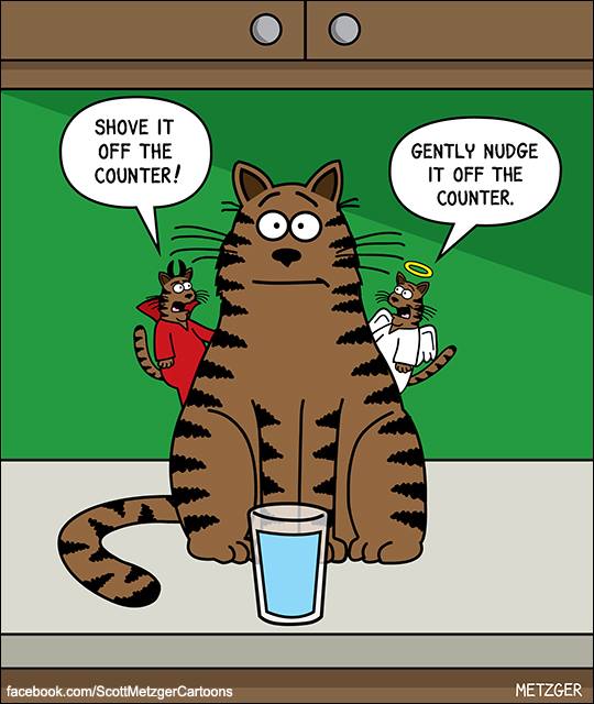 Good-Cat-Bad-Cat.jpg