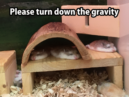 gravity.gif