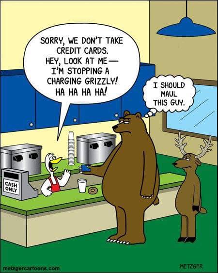 grizzly.jpg
