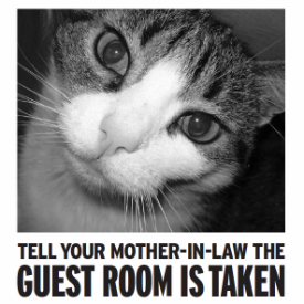 guest room.png