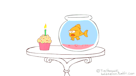 happy birthday fish bowl _ezgif-162086628.gif