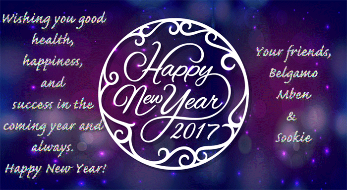 Happy-New-Year-2017-NDF.gif