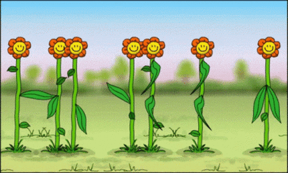 hb 13.gif