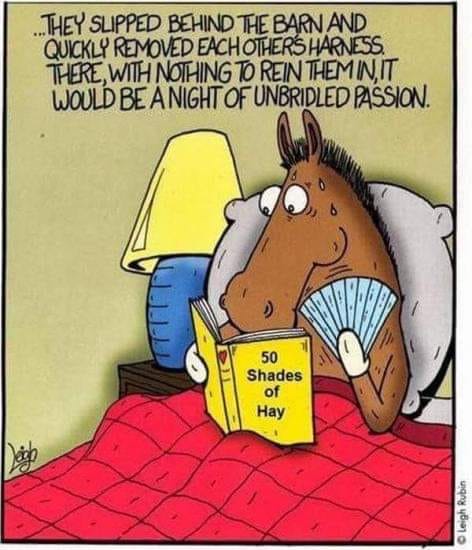 horse.jpg