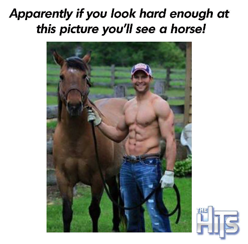 horse.png
