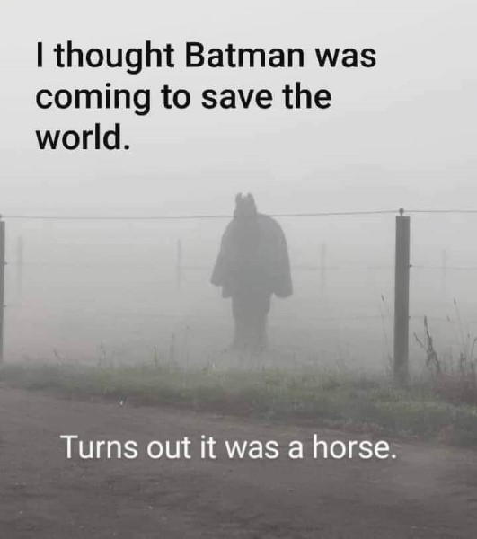 horses-batman.jpg