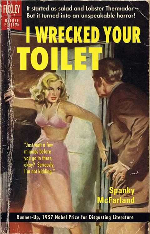 I-Wrecked-Your-Toilet.jpg