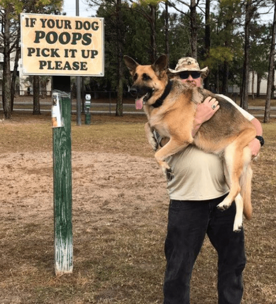 if-your-dog-poops2.png