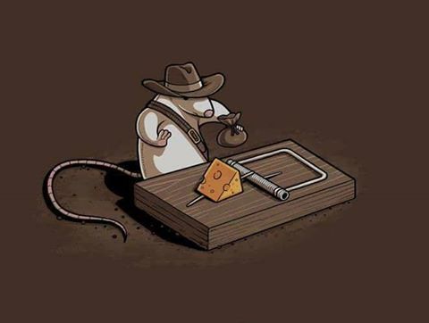 indiana mouse.jpg