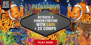 intertops red sotm megaquarium.jpg