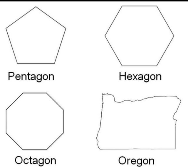 Kinds-Of-Gons.jpg