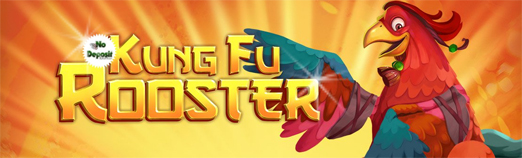 Kung Fu Rooster.jpg