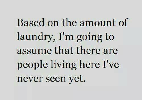 laundry amount.jpg