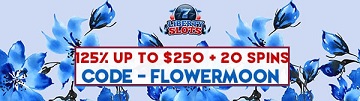 Liberty banner.jpg
