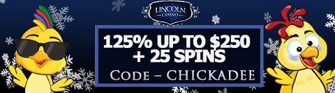 Lincoln banner 2.jpg