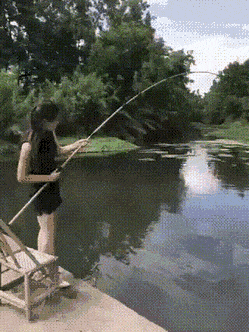 m8.gif
