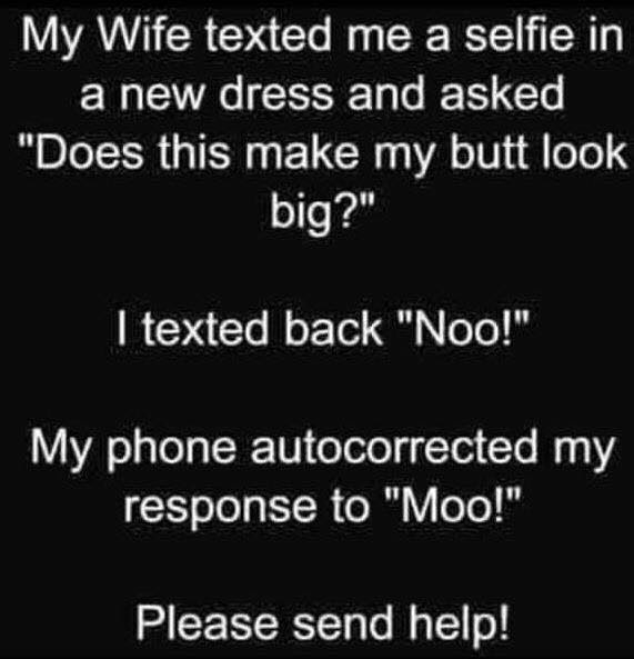 moo.jpg