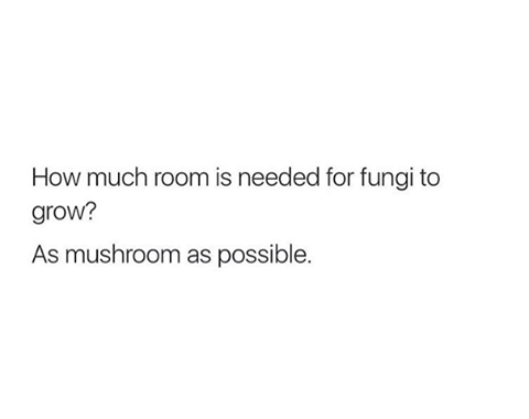 mushroom.png