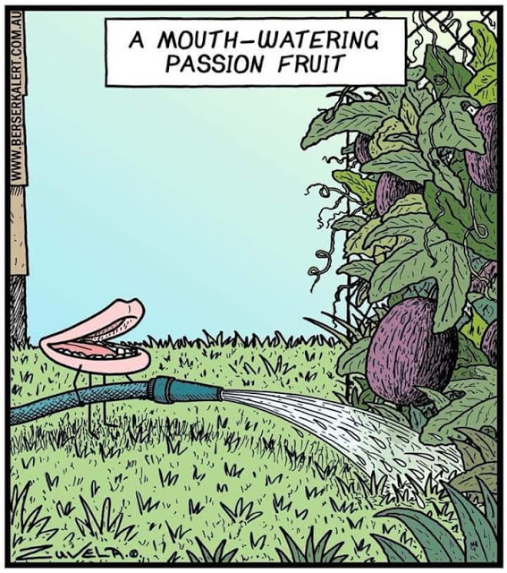 Passion-Fruit.jpg